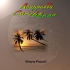 Picture for song 'SAY NO' by artist 'Wayne Pascall Acappella'