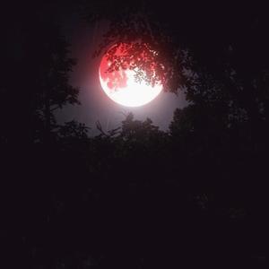 Picture for song 'Lil Baby Type Beat - Red Moon 140 bpm' by artist 'WHAT?BOYBEATS'