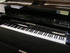 Picture for song 'hood pianoo' by artist 'young boy productions'