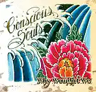 Picture for song 'The Beach' by artist 'Conscious Souls'