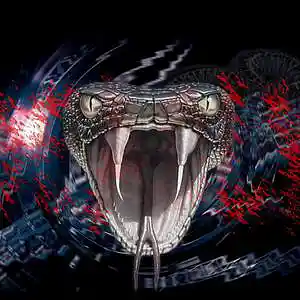 Song picture