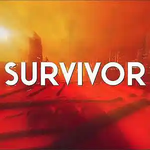 Picture for song 'survivor' by artist 'Jerybrown'