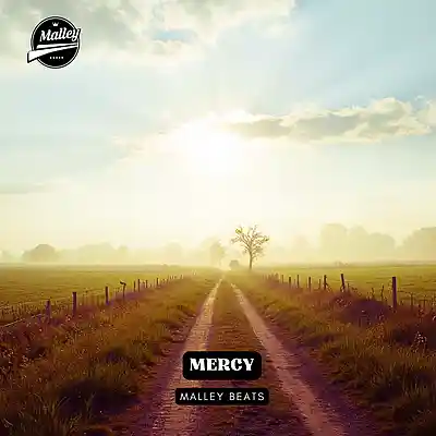 Picture for song 'MERCY [COUNTRY RAP TYPE BEAT]' by artist 'Malley Beats'