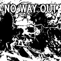 Picture for song 'Song 3' by artist 'N.W.O. No Way Out'