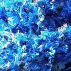 Picture for song 'Blue Fuzz' by artist 'Open Heart Trouble'