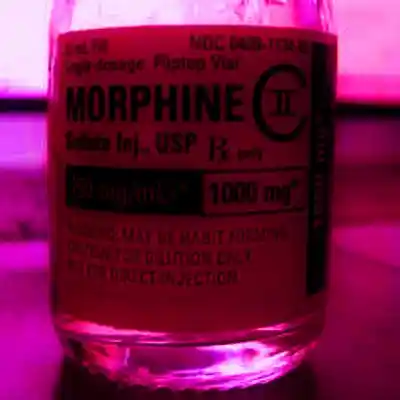 Picture for song 'WHATEVER' by artist 'SloMoElow'