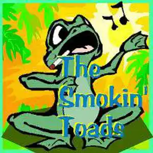 Picture for song 'Acoustic Tribal Jam' by artist 'The Steel Scream Project'