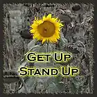 Picture for song 'Get Up, Stand Up' by artist 'Arne Wuensche'