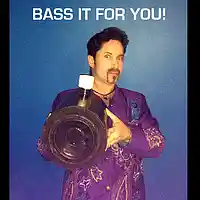 Picture for song 'Bass It For You' by artist 'BASSOTRONICS'