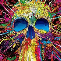 Picture for song 'This is my trip' by artist 'BdTrip'