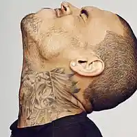 Picture for song 'WASTED (CHIRS BROWN BANGER!!!)' by artist 'BeatzByRaz'