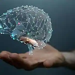 Picture for song 'Mind Right' by artist 'Big Wil Da General 415'