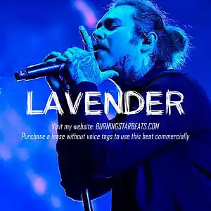 Picture for song 'LAVENDER (Post Malone x Pop x Trap Instrumental)' by artist 'BURNING STAR'