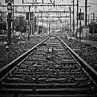 Picture for song 'Overtos' by artist 'Dictates Of Reason'