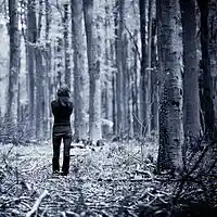 Picture for song 'Falling Away' by artist 'KAUL'