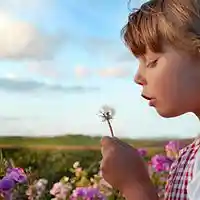 Picture for song 'Tuesdays Child' by artist 'Kelton Ree'