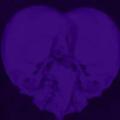 Picture for song 'My Heart' by artist 'LEXI BANKS'