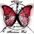 Picture for song 'Butterfly Machina' by artist 'NAEcroSET'