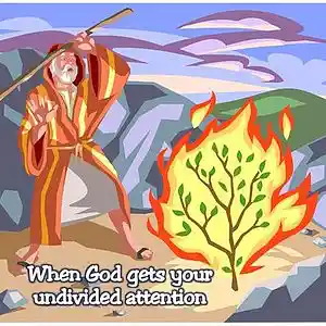 Picture for song 'Angel on the Mountain' by artist 'Praise His Ways'