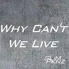 Picture for song 'Why Can't We Live' by artist 'Slim Pknz'