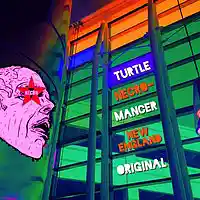 Picture for song 'Tweaky Thud' by artist 'Turtle Necromancer'