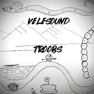 Picture for song 'Drake x Asap rocky Type Beat 2021 - "TROOBS"' by artist 'VELESOUND'