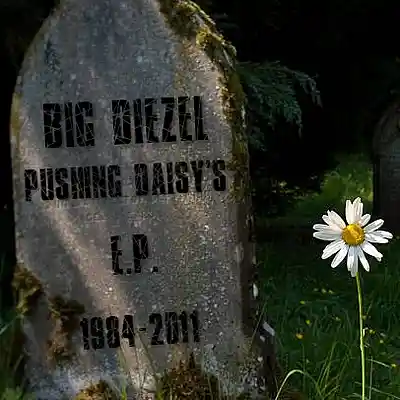 Picture for song 'Pushin Daisy's' by artist 'Big Diezel'