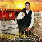 Picture for song 'AMANECIO' by artist 'BRUNO BRIZO'