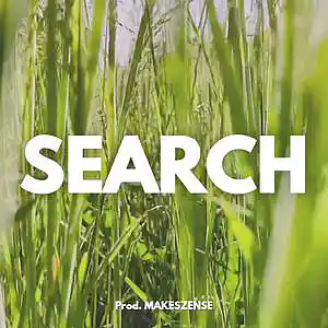 Picture for song 'Search' by artist 'MAKESZENSE'