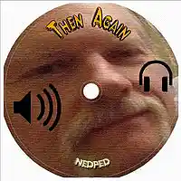 Picture for song 'Madness' by artist 'nedped'