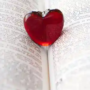 Picture for song 'Loving You's All I Can Do' by artist 'Off The Rails'