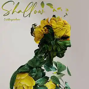 Picture for song 'Shallow' by artist 'OXB'