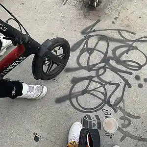 Picture for song 'jungle' by artist 'prod. enzo'