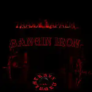 Picture for song 'BANGING IRON' by artist 'TRAXX NAPALM'