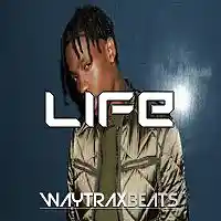 Picture for song 'LIFE- l Travis Scott l' by artist 'WAYTRAX BEATS'
