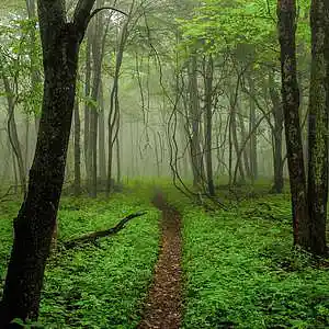 Picture for song 'Redux' by artist 'Wyatt Plays'