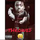 Picture for song 'Han$on & $moove - Throwed' by artist 'HANSON Of Influential Music Group'