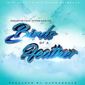Picture for song 'MegaStar Feat. Hypno Carlito - Birds Of A Feather' by artist 'MurdaBeats'