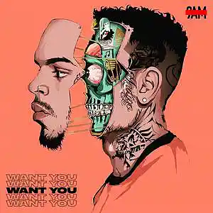 Picture for song 'I Want You - R&B Type Beat (w/Hook)' by artist 'Prod. by 9AM'