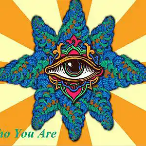 Picture for song '"Who You Are"' by artist 'PSYCHEDELICPILOT'