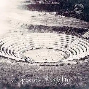 Picture for song 'spbeats - flexibility' by artist 'Rh-prod.'