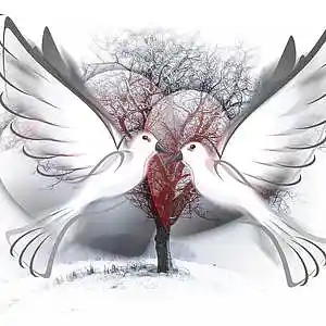 Picture for song 'I'll Fly Away (feat. Clare Steffen)' by artist 'Round The Globe'