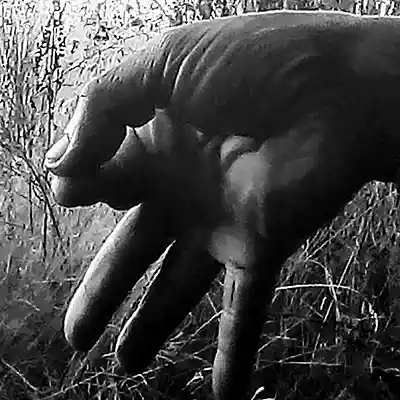 Picture for song 'still up 2sing@tha' by artist 'ART THA THESE SNUG AKA SMUG RAP MUSIC'