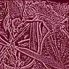 Picture for song 'I might be Penelope' by artist 'Sublimatta'