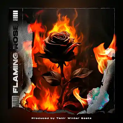 Picture for song 'Flaming Rose' by artist 'Tanir Winter Beatz'