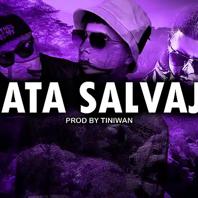 Picture for song 'GATA SALVAJE' by artist 'Tiniwan'