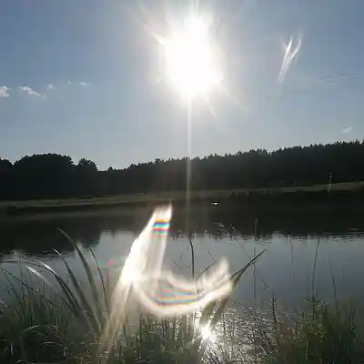 Picture for song '20250713_135401_FS' by artist '786 scheint-Al'lahs Bande'