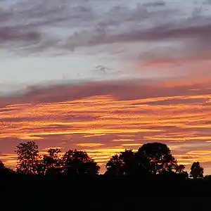 Picture for song 'I Was Calling You Women' by artist 'Alexander Molodkov'