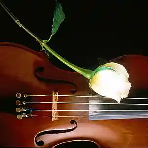 Picture for song 'Feel The Love' by artist 'Danny Bowman'