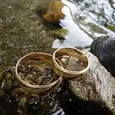 Picture for song 'Once in a Lifetime (BMI)' by artist 'Ernie Lewis'